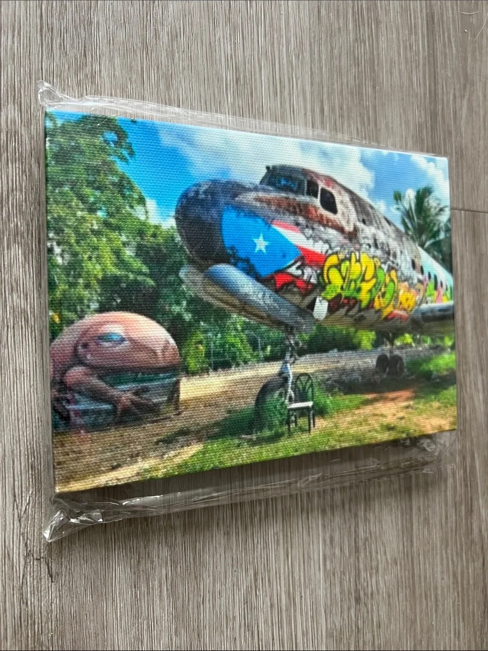 Graffiti in Puerto Rico Canvases (4)